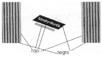 ESTRELLA DE MURCIA