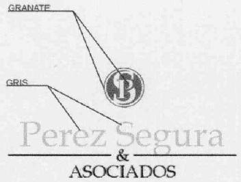 PS PEREZ SEGURA & ASOCIADOS