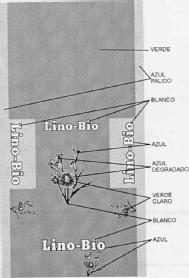 LINO-BIO