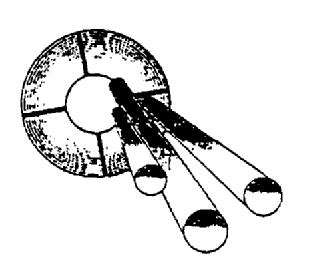 M2453984