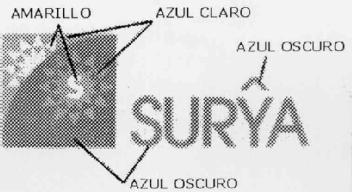 S SURYA