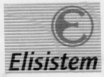 ELISISTEM