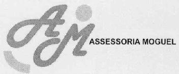 AM ASSESSORIA MOGUEL