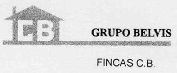GB GRUPO BELVIS FINCAS C.B