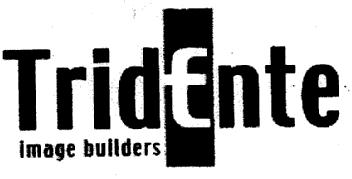 TRIDENTE IMAGE BUILDERS