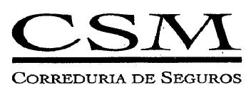 CSM CORREDURIA DE SEGUROS