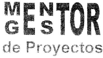 MGENSTOR DE PROYECTOS