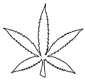 M2465316