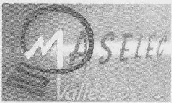 MASELEC VALLES