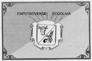 CAPUTBOVENSE ECOOLIVA