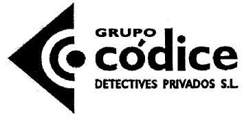 GRUPO CODICE DETECTIVES PRIVADOS S.L