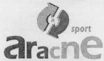 SPORT ARACNE