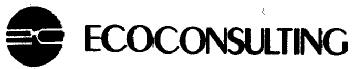 ECOCONSULTING