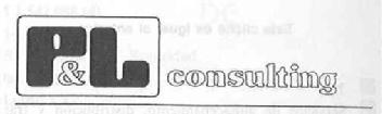 P&L CONSULTING