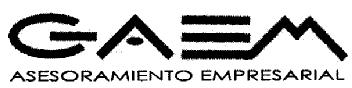 GAEM ASESORAMIENTO EMPRESARIAL