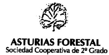 ASTURIAS FORESTAL SOCIEDAD COOPERATIVA DE 2 GRADO
