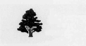 M2469244