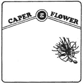CAPER FLOWER