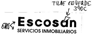 ESCOSAN SERVICIOS INMOBILIARIOS