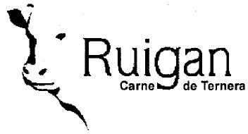 RUIGAN CARNE DE TERNERA