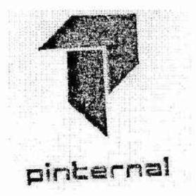 PINTERNAL