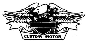 CUSTOM MOTOR