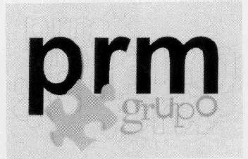 PRM GRUPO