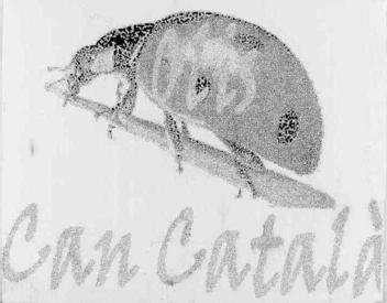 OLIS CAN CATALA