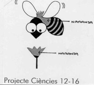 PROJECTE CIENCIES 12-16