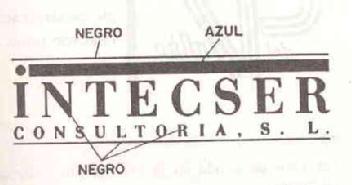 INTECSER CONSULTORIA, S. L