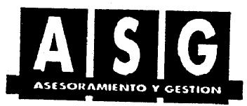 ASG ASESORAMIENTO Y GESTION