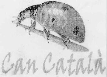 OLIS CAN CATALA