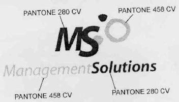 MS MANAGEMENTSOLUTIONS