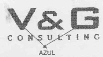 V & G CONSULTING