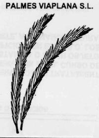 PALMES VIAPLANA S.L