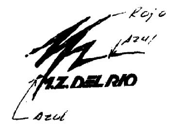 M.Z. DEL RIO