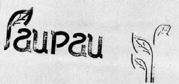 PAUPAU