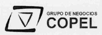 GRUPO DE NEGOCIOS COPEL