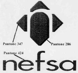 NEFSA