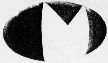 M2481882