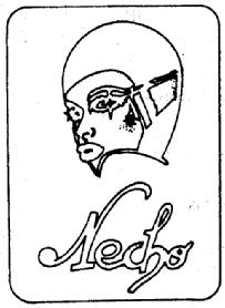 NECHO