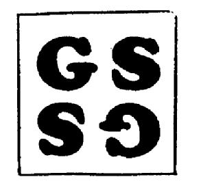 GS SG