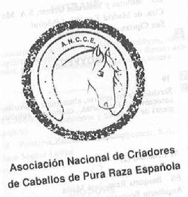 A.N.C.C.E. ASOCIACION NACIONAL DE CRIADORES DE CABALLOS DE PURA RAZA ESPAÑOLA