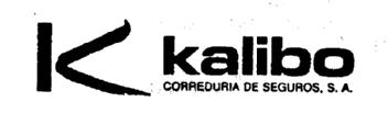 K KALIBO CORREDURIA DE SEGUROS, S.A