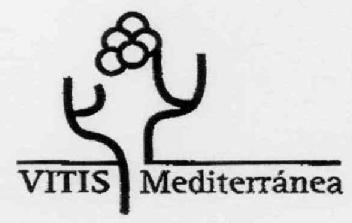 VITIS MEDITERRANEA