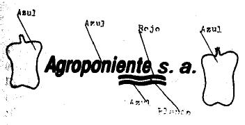 AGROPONIENTE, S.A