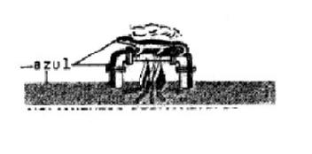 M2485384
