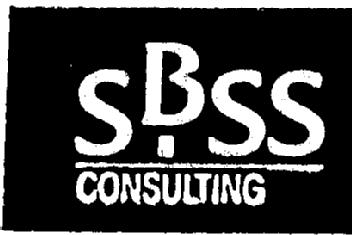 SBSS CONSULTING