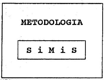 METODOLOGIA SIMIS