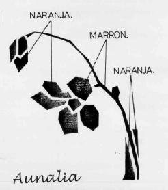 AUNALIA